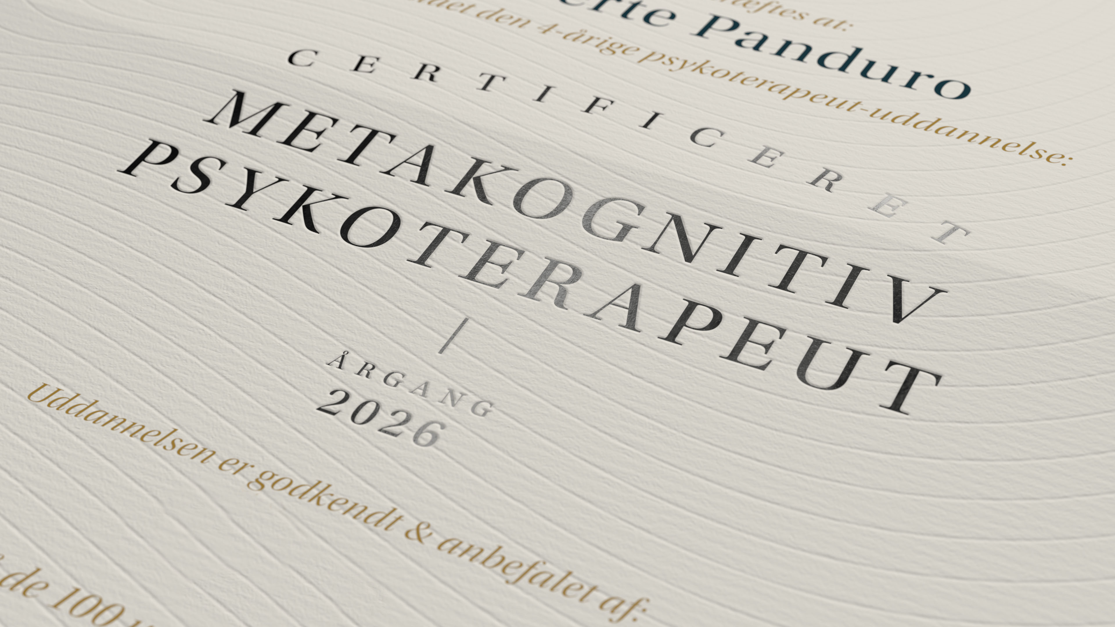 Uden dansk psykoterapuetforenening 4 år lille 4-årig metakognitiv psykoterapeutuddannelse